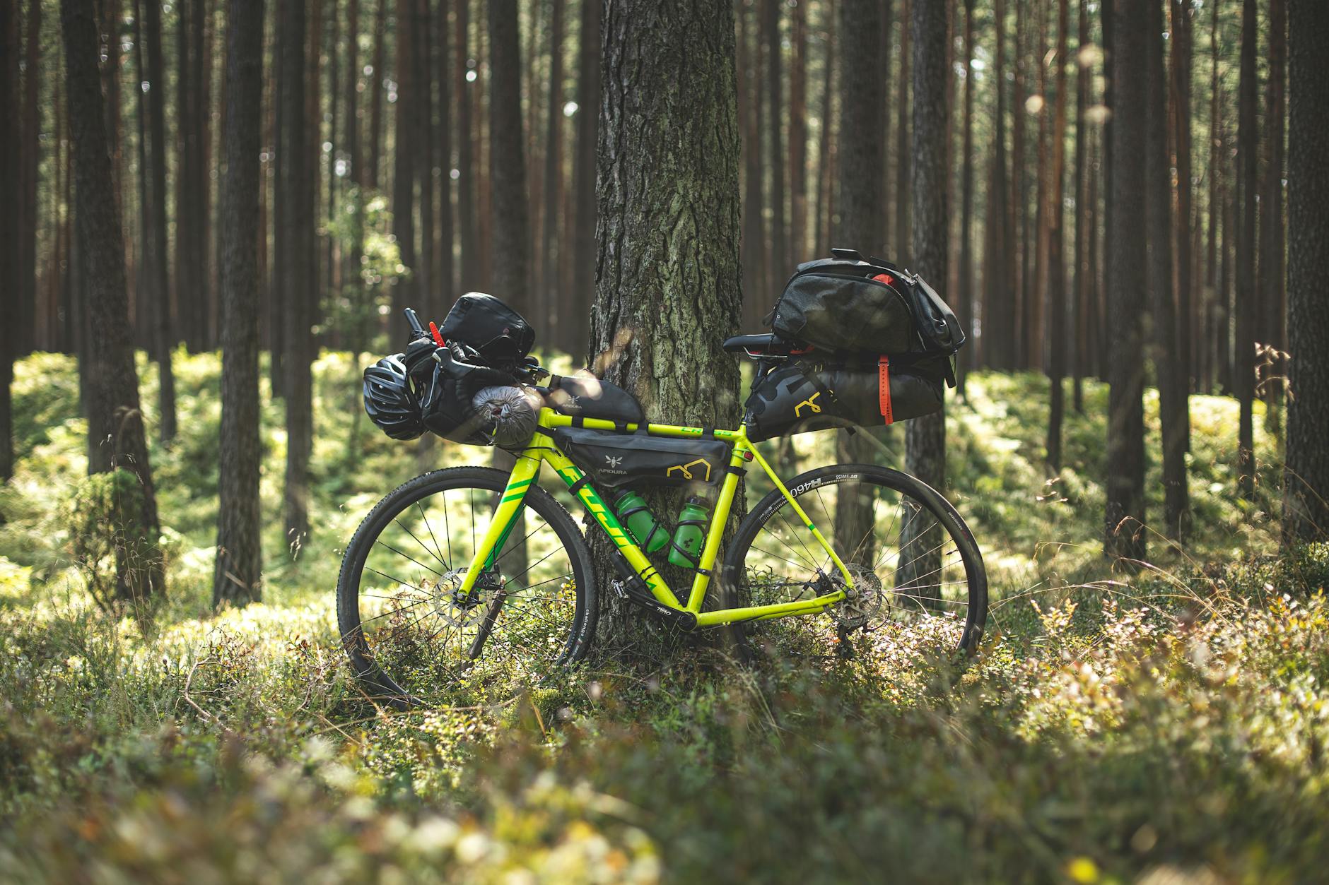 Rower z bagażem biwakowym na leśnej polanie podczas wyprawy